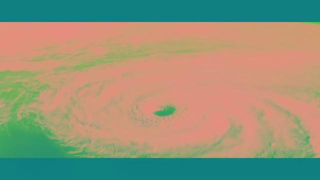 你有没有看过一部国产巨片叫＂超囧台风＂?-第2张图片-太平洋在线下载