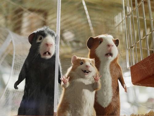 正版猫和老鼠手机版:SHOW出你最爱的动物电影，送迪士尼正版DVD+周边！（名单公布）