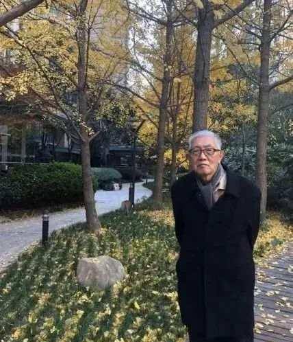 小草苹果破解版
:送别83岁儿童文学作家张秋生，小巴掌童话温暖几代读者